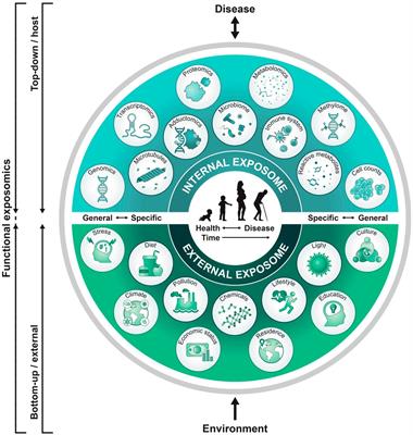 The science of uncertainty guides fetal-neonatal neurology principles and practice: diagnostic-prognostic opportunities and challenges